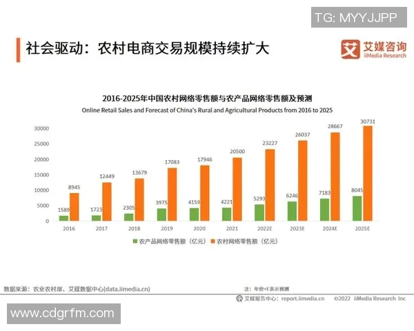 重庆羽毛球队意识探讨与发展策略研究之焦点分析