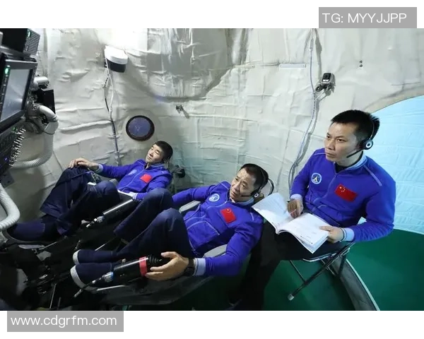 专访陈军：探寻网球世界的成功秘诀与背后故事