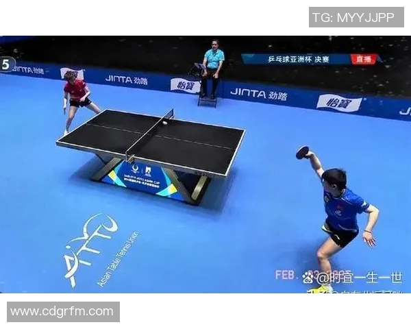 乒乓球新手必看：掌握节奏与技巧的全面入门指南