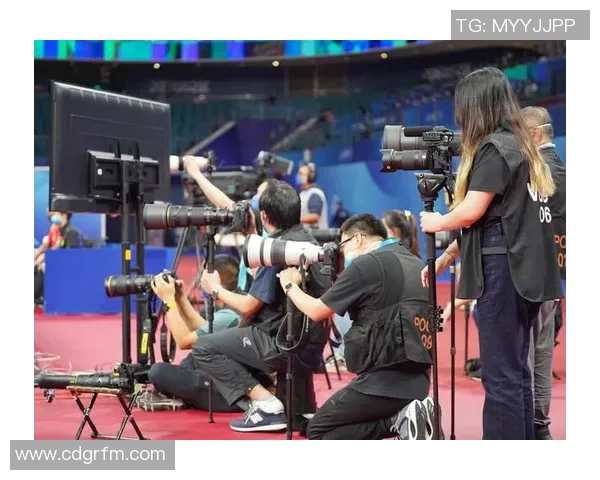 成都乒乓球队状态分析与发展前景探讨聚焦乒乓球运动的未来之路