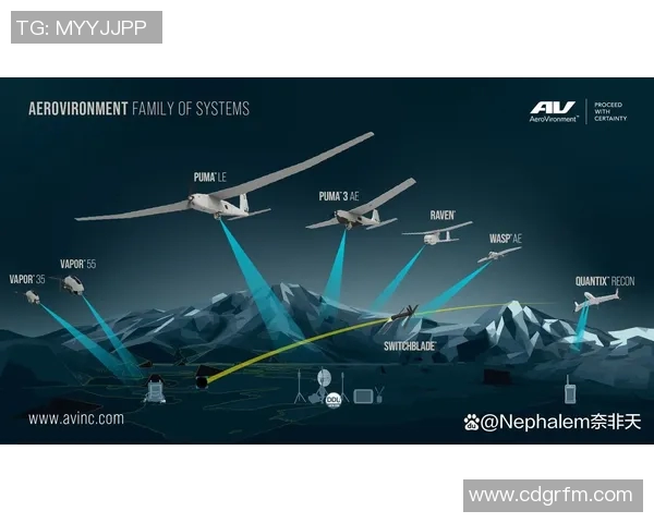 上海排球队的控制革新与未来发展路径探讨