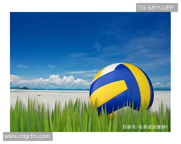 杨芳独家分享排球心得与技巧提升之道助你成为排球高手