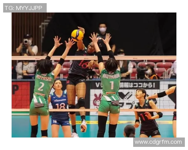 广州排球队整体压制战术解析与深度剖析排球竞技的成功秘诀