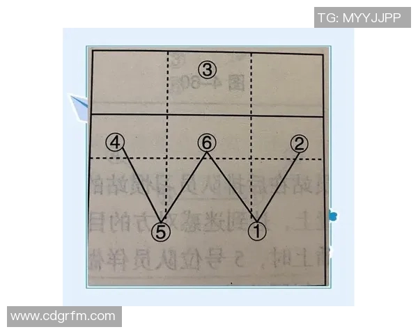 杭州排球队进攻战术解析与未来发展展望 杭州排球队进攻战术解析与未来发展展望