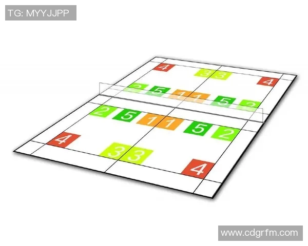 深圳羽毛球队的节奏打法深度解析与战术运用探讨