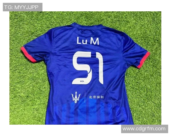 足球明星同款足球的品牌与型号解析及购买指南