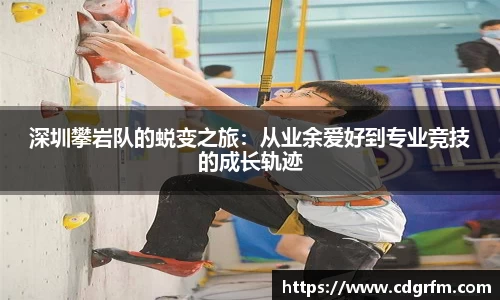 关键词4