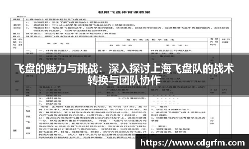 飞盘的魅力与挑战：深入探讨上海飞盘队的战术转换与团队协作